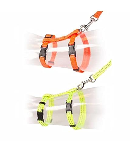 duvoplus, Set für Spaziergänge, große Katze, reflektierend, einfarbig, 30 – 50 cm/12 mm – 125 cm, Orange/Gelb, bequem und anpassbar an die Größe Ihrer Katze, einfach zu bedienen, Qualität Outdoor, duvoplus, Set für Spaziergänge, große Katze, reflektierend, einfarbig, 30 – 50 cm/12 mm – 125 cm, Orange/Gelb, bequem und anpassbar an die Größe Ihrer Katze, einfach zu bedienen, Qualität Outdoor, von Duvoplus
