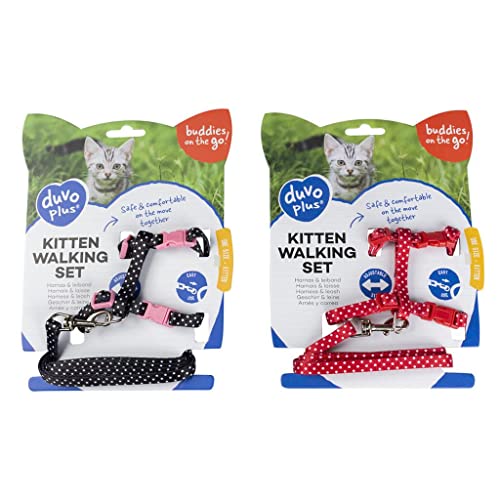 duvoplus, Set mit Spaziergängen für Kätzchen, weiße Kugeln, 15-25 cm/8 mm-125 cm, Schwarz/Rot, bequem und anpassbar an die Größe Ihrer Katze, einfach zu bedienen, Outdoor-Qualität, Leine + Halsband duvoplus, Set mit Spaziergängen für Kätzchen, weiße Kugeln, 15-25 cm/8 mm-125 cm, Schwarz/Rot, bequem und anpassbar an die Größe Ihrer Katze, einfach zu bedienen, Outdoor-Qualität, Leine + Halsband von Duvoplus