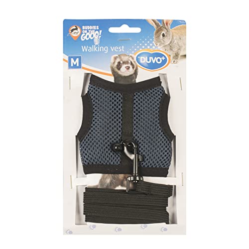 duvoplus, Wanderweste für kleine Säugetiere M – 7 x 10 x 2 cm, Blau, anpassbare Weste mit Leine, Stretch, sicheres Bewegen, hochwertiges Nylon, waschbar, Glöckchen inklusive duvoplus, Wanderweste für kleine Säugetiere M – 7 x 10 x 2 cm, Blau, anpassbare Weste mit Leine, Stretch, sicheres Bewegen, hochwertiges Nylon, waschbar, Glöckchen inklusive von Duvoplus