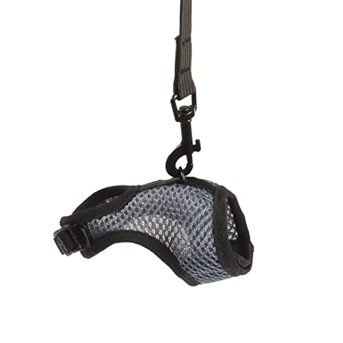 duvoplus, Wanderweste für kleine Säugetiere S – 5 x 8 x 2 cm, Blau, anpassbare Weste mit Leine aus Stretch, sicher zu bewegen, hochwertiges Nylon, waschbar, mit Glöckchen duvoplus, Wanderweste für kleine Säugetiere S – 5 x 8 x 2 cm, Blau, anpassbare Weste mit Leine aus Stretch, sicher zu bewegen, hochwertiges Nylon, waschbar, mit Glöckchen von Duvoplus