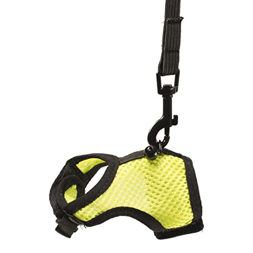 duvoplus, Wanderweste für kleine Säugetiere S – 5 x 8 x 2 cm, Gelb/Grün, anpassbare Weste mit Leine aus Stretch, sicher zu bewegen, hochwertiges Nylon, waschbar, inkl. Glöckchen duvoplus, Wanderweste für kleine Säugetiere S – 5 x 8 x 2 cm, Gelb/Grün, anpassbare Weste mit Leine aus Stretch, sicher zu bewegen, hochwertiges Nylon, waschbar, inkl. Glöckchen von Duvoplus