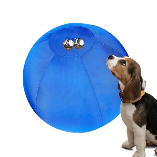 dzqad Hüteball Für Hunde - Schwimmspielzeug Für Hunde | Robuster Für Training Von Kleinen Bis Mittelgroßen Rassen, Treiben, Wasserspaß Und Outdoor-Aktivitäten Im Park, Garten Oder Pool dzqad Hüteball Für Hunde - Schwimmspielzeug Für Hunde | Robuster Für Training Von Kleinen Bis Mittelgroßen Rassen, Treiben, Wasserspaß Und Outdoor-Aktivitäten Im Park, Garten Oder Pool von dzqad