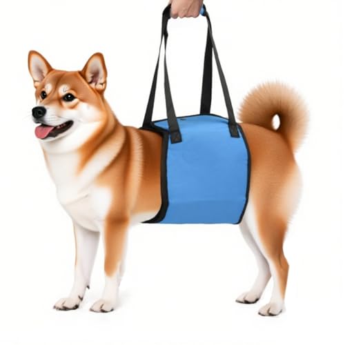 dzqad Hundetragegurt - Weich Gepolstertes Hundegeschirr - Unterstützungsgürtel Für Spaziergänge Erholung Outdoor Aktivitäten dzqad Hundetragegurt - Weich Gepolstertes Hundegeschirr - Unterstützungsgürtel Für Spaziergänge Erholung Outdoor Aktivitäten von dzqad