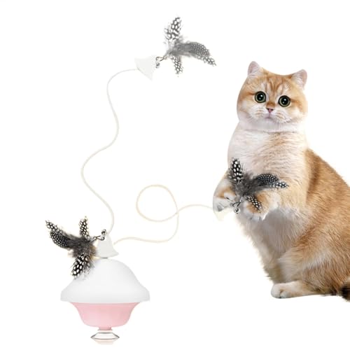 dzqad Interaktives Katzenspielzeug, Interaktives Spielzeug für Katzen, Interaktive Tür-Feder-Teaser-Spielzeuge, Kätzchen-Übungsspielzeug, interaktives Katzenspielzeug für Hauskatzen, Katzenspielzeug dzqad Interaktives Katzenspielzeug, Interaktives Spielzeug für Katzen, Interaktive Tür-Feder-Teaser-Spielzeuge, Kätzchen-Übungsspielzeug, interaktives Katzenspielzeug für Hauskatzen, Katzenspielzeug von dzqad