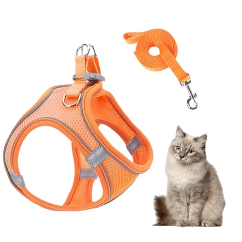 dzqad Katzengeschirr und Leinenset | Reflektierendes Würgefreies Sicherheitsgeschirr - Atmungsaktiv Reflektierendes Westengeschirr Für Hunde Welpen Katzen Wandern Tierarzt Training Autoreise Camping von dzqad