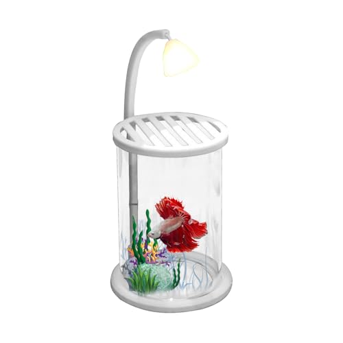 dzqad Schreibtisch Fischbecken,Beleuchtetes Glas-Aquarium Mit Licht,Verstärkte Deko für Schreibtisch - für Klassenzimmer Studienzimmer Schlafzimmer Arbeitsplatz Zuhause Wohnzimmer Tisch von dzqad