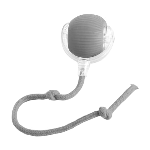 dzqad katzenspielzeug elektrisch katzenball, interaktiver Ball Katze, elektrisches katzenball Spielzeug, Katzenbälle für Interaktion, drinnen, Spielen, kleine, Grau von dzqad