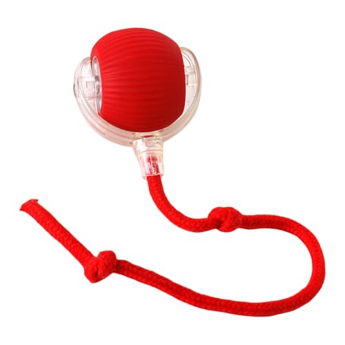 dzqad katzenspielzeug elektrisch katzenball, interaktiver Ball Katze, elektrisches katzenball Spielzeug, Katzenbälle für Interaktion, drinnen, Spielen, kleine, Rot dzqad katzenspielzeug elektrisch katzenball, interaktiver Ball Katze, elektrisches katzenball Spielzeug, Katzenbälle für Interaktion, drinnen, Spielen, kleine, Rot von dzqad