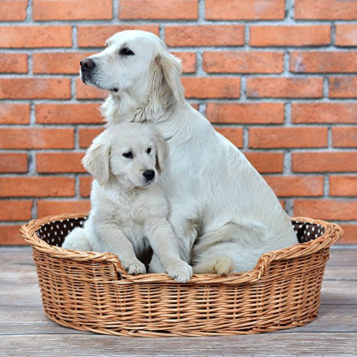 e-wicker24 Hundekorb aus Weide für Hund und Katze Hundebett Katzenbett mit Kissen Tierkorb geflochten Katzenkorb (100, Gepunktet) e-wicker24 Hundekorb aus Weide für Hund und Katze Hundebett Katzenbett mit Kissen Tierkorb geflochten Katzenkorb (100, Gepunktet) von e-wicker24