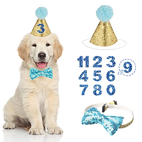 Hunde-Geburtstagshut, Partyhut-Set, mit Fliege und Halsband und blauer Nummer für Haustier, Welpen, Katze, Geburtstagsdekoration, Haustierkostüme, Kopfbedeckung, Zubehör, 3 Stück (blau) von ePicsoa