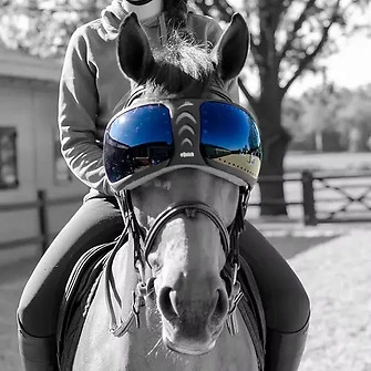 eQuick® eVysor Brillengläser Kit darker Ersatz-Brillengläser von eQuick