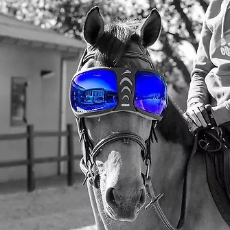 eQuick® eVysor Brillengläser Kit mirrored blue Ersatz-Brillengläser von eQuick
