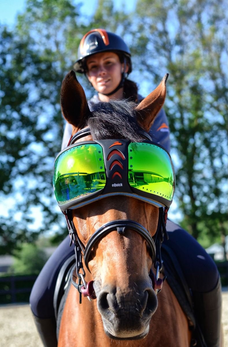 eQuick® eVysor Brillengläser Kit mirrored green Ersatz-Brillengläser von eQuick