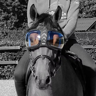 eQuick® eVysor Brillengläser Kit transparent Ersatz-Brillengläser von eQuick