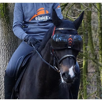 eQuick® eVysor Schutzbrille darker, onesize Augenschutzbrille für Pferde von eQuick