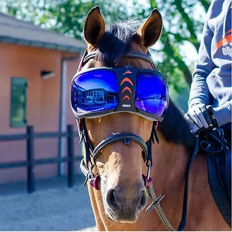 eQuick® eVysor Schutzbrille mirrored blue, onesize Augenschutzbrille für Pferde von eQuick