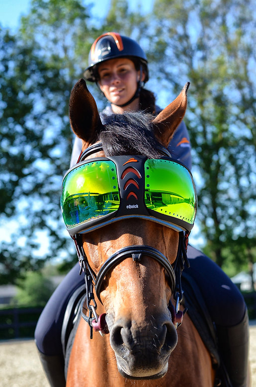 eQuick® eVysor Schutzbrille mirrored green, onesize Augenschutzbrille für Pferde von eQuick
