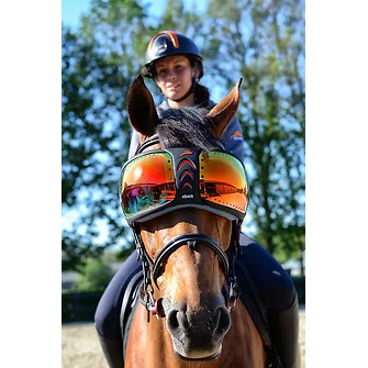 eQuick® eVysor Schutzbrille rainbow, onesize Augenschutzbrille für Pferde von eQuick