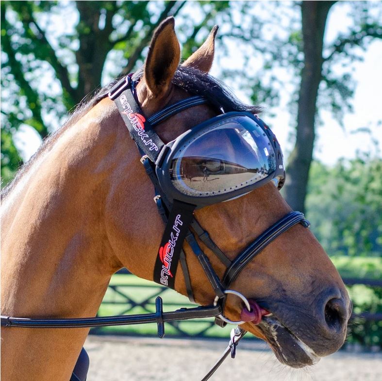 eQuick® eVysor Schutzbrille transparent, onesize Augenschutzbrille für Pferde von eQuick