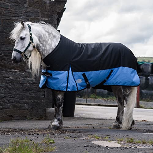 Equitack 1200 Denier Pferdedecke Outdoor Winterdecken Weidedecke mit 100 G Füllung Regular Schwarz/Baby Blau 145cm Equitack 1200 Denier Pferdedecke Outdoor Winterdecken Weidedecke mit 100 G Füllung Regular Schwarz/Baby Blau 145cm von eQuitack Your Passion Is Our Mission