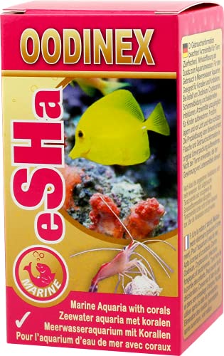 eSHa Oodinex gegen Korallenfischkrankheit, Seewasser-Ichthyo, Infektionen, Scheuern, Kopfzucken und Gewebeabsterben etc. von eSHa Labs