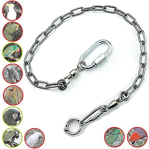ebamaz Edelstahl Papageien Fußkette für kleine mittelgroße und große Vögel für Haustier-Training(Nr. 12 (11,5 mm)) von ebamaz