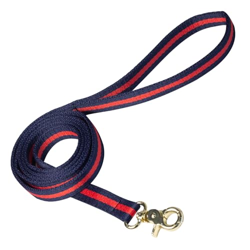 Elegante und edle Hundeleine, bequeme und langlebige Hundeleine für kleine, mittelgroße und große Hunde Elegante und edle Hundeleine, bequeme und langlebige Hundeleine für kleine, mittelgroße und große Hunde von echentie