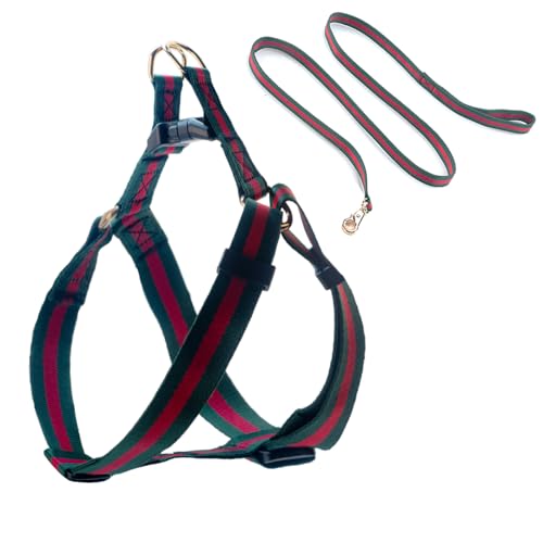 Elegantes und stilvolles Hundegeschirr und Leine, langlebig, weicher Hals und Brust, verstellbares Haustiergeschirr, luxuriöses Hundegeschirr und Hundeleinen, Geschenk für mittelgroße Hunde Elegantes und stilvolles Hundegeschirr und Leine, langlebig, weicher Hals und Brust, verstellbares Haustiergeschirr, luxuriöses Hundegeschirr und Hundeleinen, Geschenk für mittelgroße Hunde von echentie