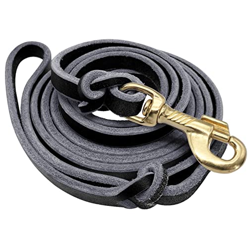 Trainingsleine aus Leder für große Hunde, Hundeleine für mittelgroße bis große Hunde, 130 Stück (Farbe: 1, Größe: 150 cm) (1 x 250 cm) von edjfbdehvdchvdeibjfg