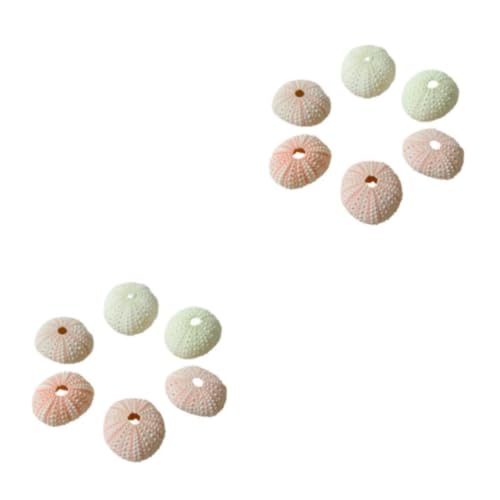 eexuujkl 2 Satz von/Lot Seeigel Muschel Blumentopf Dekoration – Elegante und realistische Heimdekoration und bevorzugte Materialien haben rosa Seeigel, 4–5 cm, Rosa Seeigel4 5cm 2Satz von eexuujkl