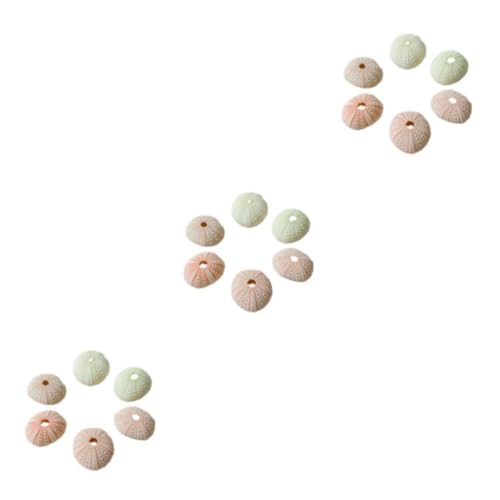 eexuujkl 3 Satz von/Lot Seeigel Muschel Blumentopf Dekoration – Elegante und realistische Heimdekoration und bevorzugte Materialien haben rosa Seeigel, 4–5 cm, Rosa Seeigel4 5cm 3Satz eexuujkl 3 Satz von/Lot Seeigel Muschel Blumentopf Dekoration – Elegante und realistische Heimdekoration und bevorzugte Materialien haben rosa Seeigel, 4–5 cm, Rosa Seeigel4 5cm 3Satz von eexuujkl