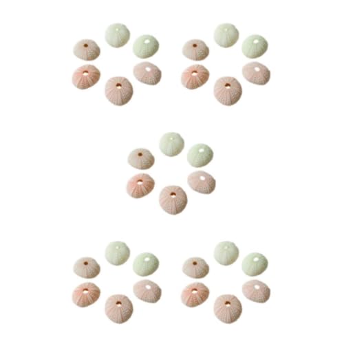 eexuujkl 5 Satz von/Lot Seeigel Muschel Blumentopf Dekoration – Elegante und realistische Heimdekoration und bevorzugte Materialien haben rosa Seeigel, 4–5 cm, Rosa Seeigel4 5cm 5Satz von eexuujkl