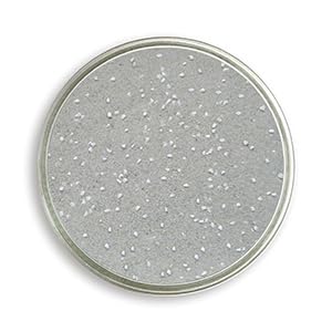 Eivolution Badesand 8 kg mit Anis für Hühner und Wachteln - mit Kalkgrit - für Gefiederpflege und gegen Parasiten - für mehr Wohlbefinden Eivolution Badesand 8 kg mit Anis für Hühner und Wachteln - mit Kalkgrit - für Gefiederpflege und gegen Parasiten - für mehr Wohlbefinden von eivolution