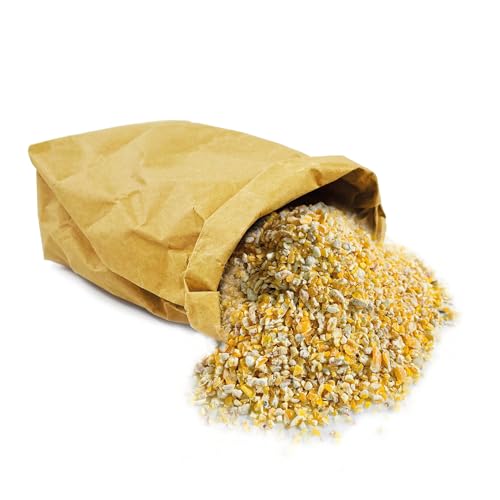 Eivolution Bio-Maisbruch 3 kg – Hühner & andere Tiere – Natürlich, Energiereich, Gentechnikfrei, Ergänzungsfutter - Perfekt für Mauser und Wachstum Eivolution Bio-Maisbruch 3 kg – Hühner & andere Tiere – Natürlich, Energiereich, Gentechnikfrei, Ergänzungsfutter - Perfekt für Mauser und Wachstum von eivolution