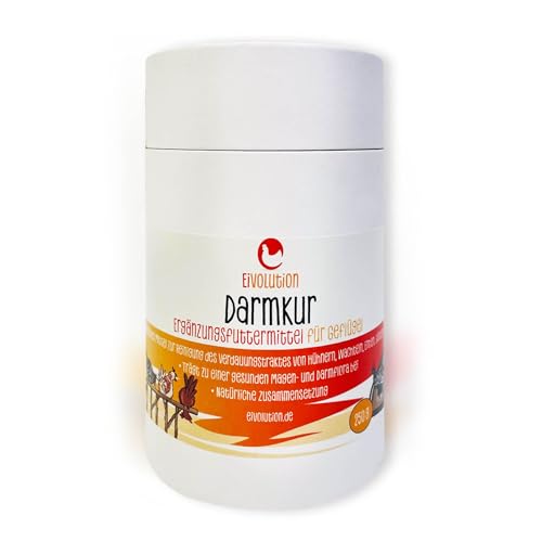 Eivolution Darmkur - Natürliches Mittel für Geflügel zur Reinigung des Verdauungstraktes - 250g - für Hühner, Wachteln, Tauben, Enten, Puten, Gänse - gesunde Magen- Darmflora Eivolution Darmkur - Natürliches Mittel für Geflügel zur Reinigung des Verdauungstraktes - 250g - für Hühner, Wachteln, Tauben, Enten, Puten, Gänse - gesunde Magen- Darmflora von eivolution