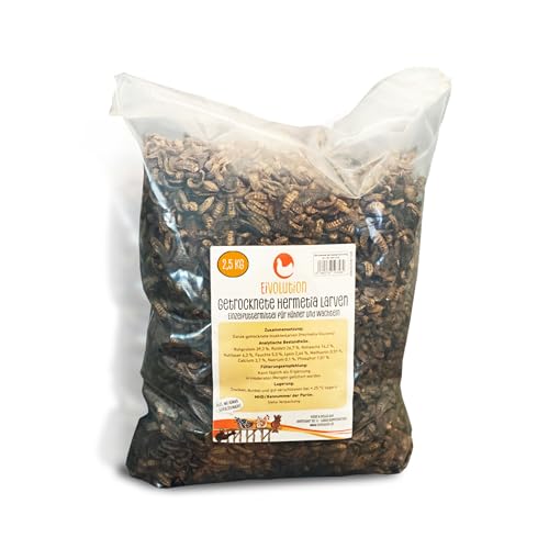 Eivolution Soldatenfliegenlarven getrocknet - 800g - Reich an Protein - Hochwertige Hermetialarven als Hühnerfutter - oder Vogel-, Fisch oder Wachtelfutter Eivolution Soldatenfliegenlarven getrocknet - 800g - Reich an Protein - Hochwertige Hermetialarven als Hühnerfutter - oder Vogel-, Fisch oder Wachtelfutter von eivolution