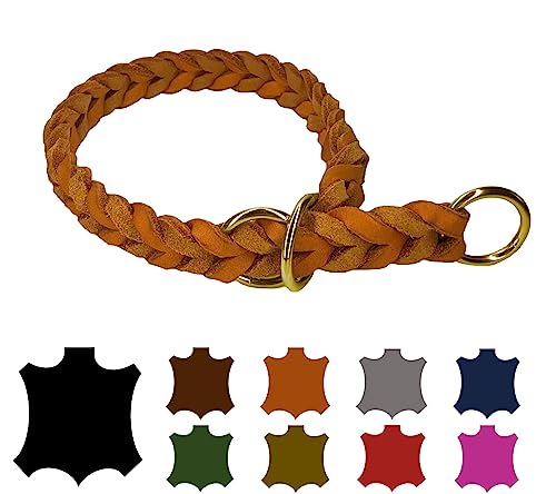 Hundehalsband Fettleder/Halsband ZugStopp Messing/kleine Hunde & große Hunde / 15mm / 20mm / 25mm / XXS - XL (35 Breite: 25mm, Cognac) von elropet