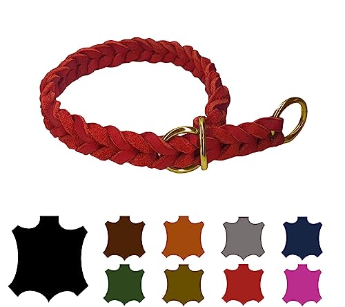 Hundehalsband Fettleder/Halsband ZugStopp Messing/kleine Hunde & große Hunde / 15mm / 20mm / 25mm / XXS - XL (50 Breite: 25mm, Rot) von elropet