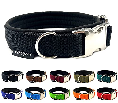 Hundehalsband Softshell unterlegt verstellbar für kleine Hunde & große Hunde S/M/L/XL (M 41cm - 48cm Breite: 25mm, Schwarz) von elropet