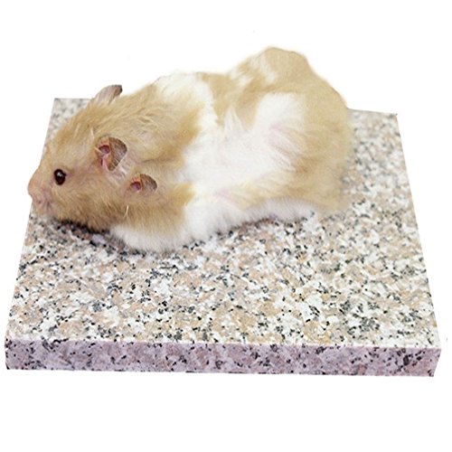 emours, kühle Granitplatte für Hamster, Chinchillas und andere Kleintiere, dekorativ, 19,8 x 15 cm emours, kühle Granitplatte für Hamster, Chinchillas und andere Kleintiere, dekorativ, 19,8 x 15 cm von emours