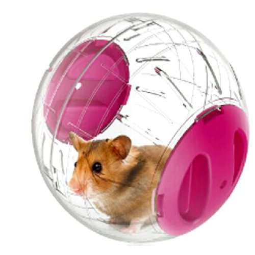 Emours Hamsterrad, klein, 12,2 cm,Renn- und Gymnastikball für Hamster und sonstige Tiere von emours
