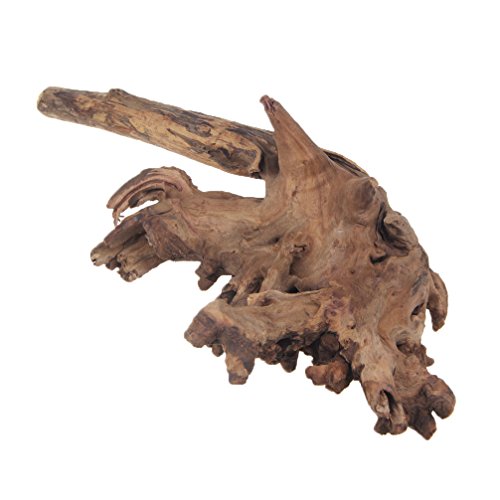 Emours™ Treibholz für das Aquarium Reptilien Dekoration Holz ,XL (30-40cm) von emours