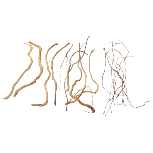 emours Aquarium Treibholz - Natürliches Aquascaping Holz - 20-40cm (8-16in) / 170g - für Pflanzen- & Garnelenbecken (Nur Wurzeln) von emours