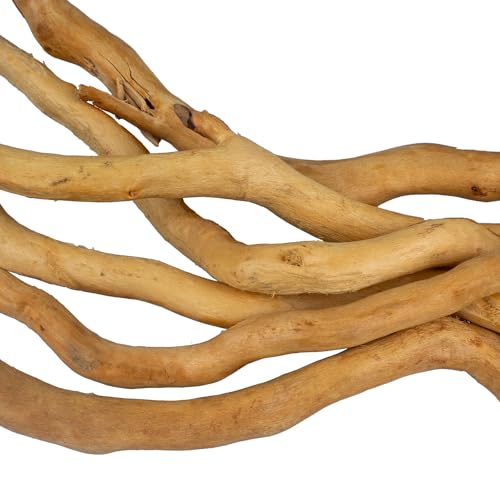 emours Aquarium Treibholz - Natürliches Aquascaping Holz - 20-40cm (8-16in) / 170g - für Pflanzen- & Garnelenbecken (nur Zweige) von emours