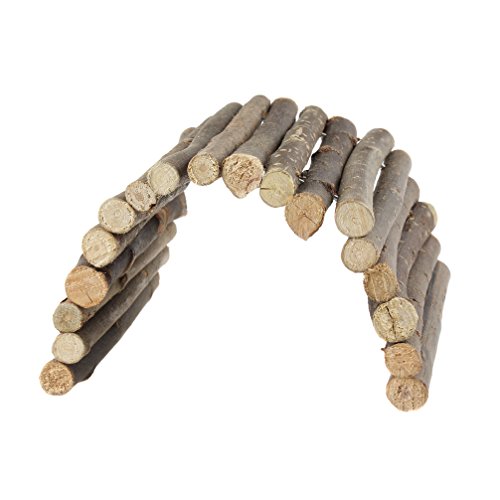 emours Biegbare Holzbrücke Hängeleiter Zaun Spielzeug Reptilien Kleintier Versteck Schildkröte Plattform Medium emours Biegbare Holzbrücke Hängeleiter Zaun Spielzeug Reptilien Kleintier Versteck Schildkröte Plattform Medium von emours