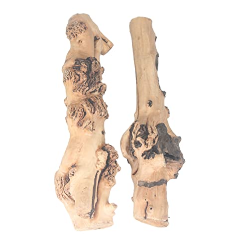 emours Reptilien-Dekor, natürlicher Waldzweig, Terrarium, Holz, Aquarium-Ornament, 4,1–6,1 cm (2 Stück) emours Reptilien-Dekor, natürlicher Waldzweig, Terrarium, Holz, Aquarium-Ornament, 4,1–6,1 cm (2 Stück) von emours
