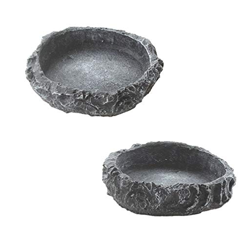emours Wassernapf für Reptilien, Fressnapf, Felsen, Wurm, für Leopard, Gecko, Eidechse, Spinne, Skorpion, Chamäleon, klein, 2 Stück emours Wassernapf für Reptilien, Fressnapf, Felsen, Wurm, für Leopard, Gecko, Eidechse, Spinne, Skorpion, Chamäleon, klein, 2 Stück von emours