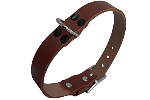 Lederhalsband Hund, Hundehalsband für den großen, mittleren und kleinen Hund,hundezubehör (L verstellbar 43–53 cm, Höhe 2,5 cm, Dunkelbraun) von ends cuoio