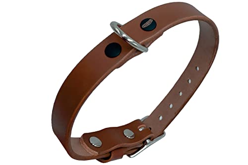 Lederhalsband Hund, Hundehalsband für den großen, mittleren und kleinen Hund,hundezubehör (M verstellbar 35–45 cm, Höhe 2 cm, Desert tan) von ends cuoio