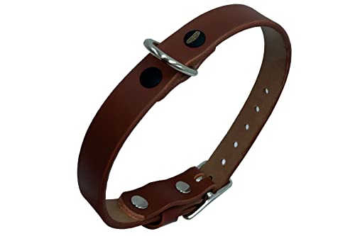 Lederhalsband Hund, Hundehalsband für den großen, mittleren und kleinen Hund,hundezubehör (M verstellbar 35–45 cm, Höhe 2 cm, Dunkelbraun) von ends cuoio